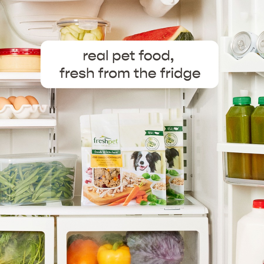 4 pack Fresh Dog Food, Fresh F - Home Cooking Food บทวิจารณ์และราคา