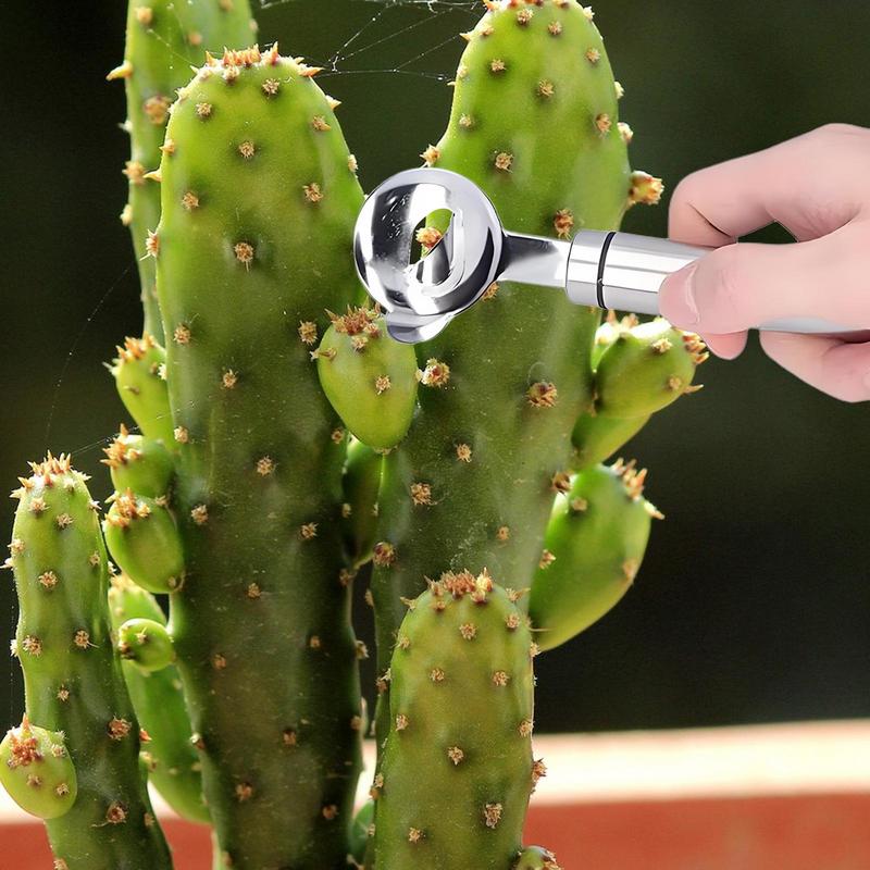 Home Kitchen Tool Peeler Multi - Home Cooking Services บทวิจารณ์และราคา